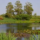 Natur im Ferienpark #2