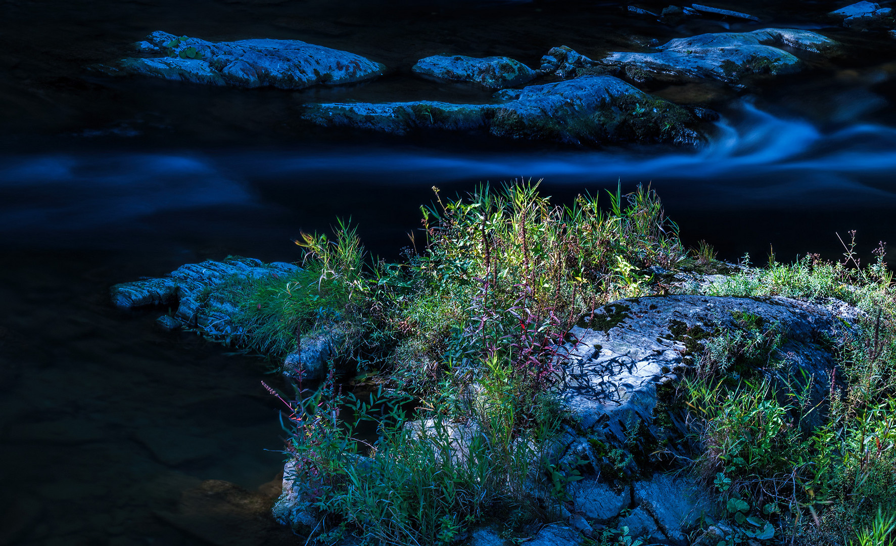 Natur im Fluss