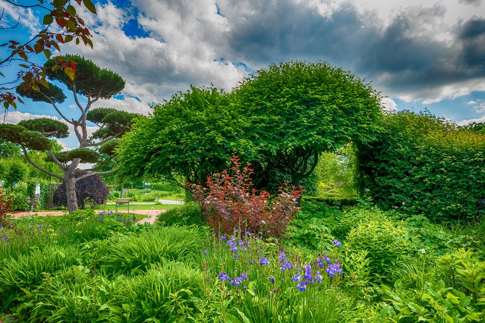 Natur Im Garten