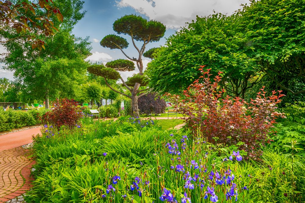 Natur Im Garten