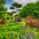 Natur Im Garten