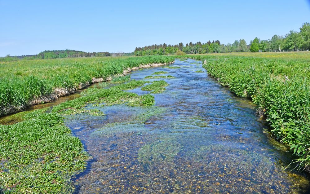 Natur im Gleichgewicht