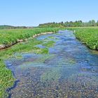 Natur im Gleichgewicht