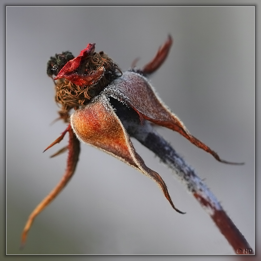 Natur im Herbst ( 1 )