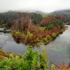 Natur - im Herbst