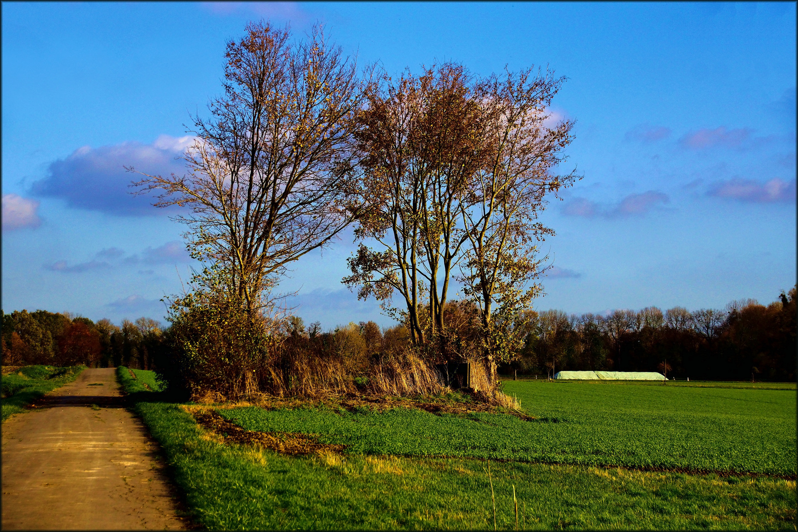 Natur im Herbst