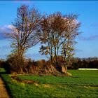 Natur im Herbst