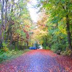 Natur im Herbst