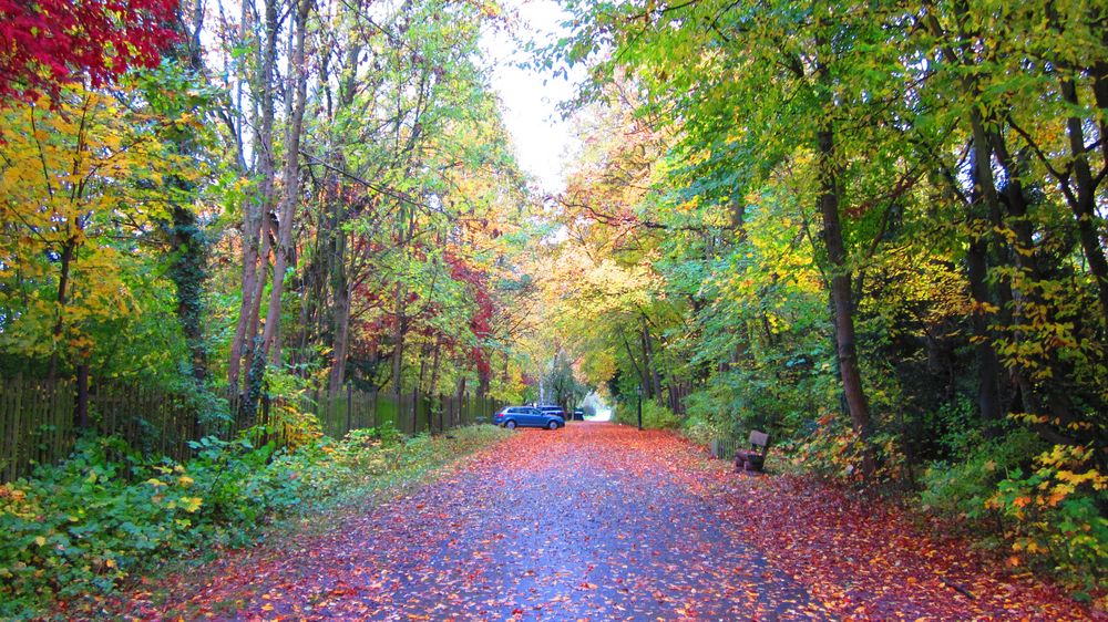 Natur im Herbst