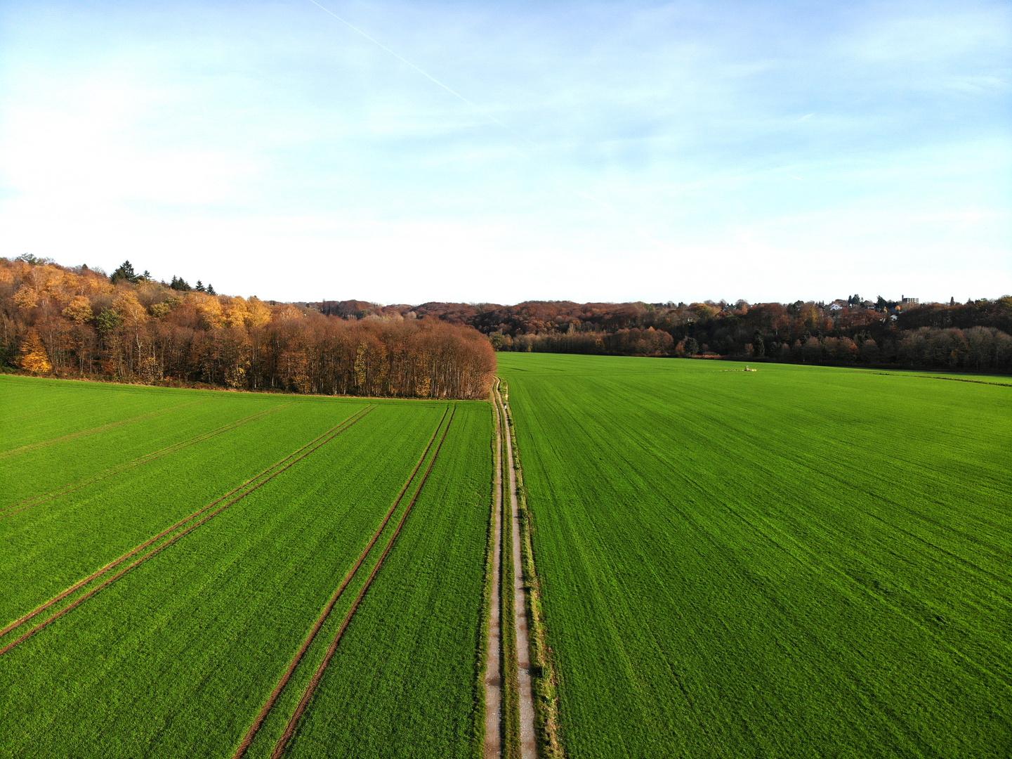 Natur im Herbst