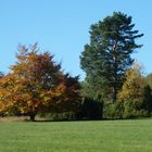 Natur im Herbst, kein Park!