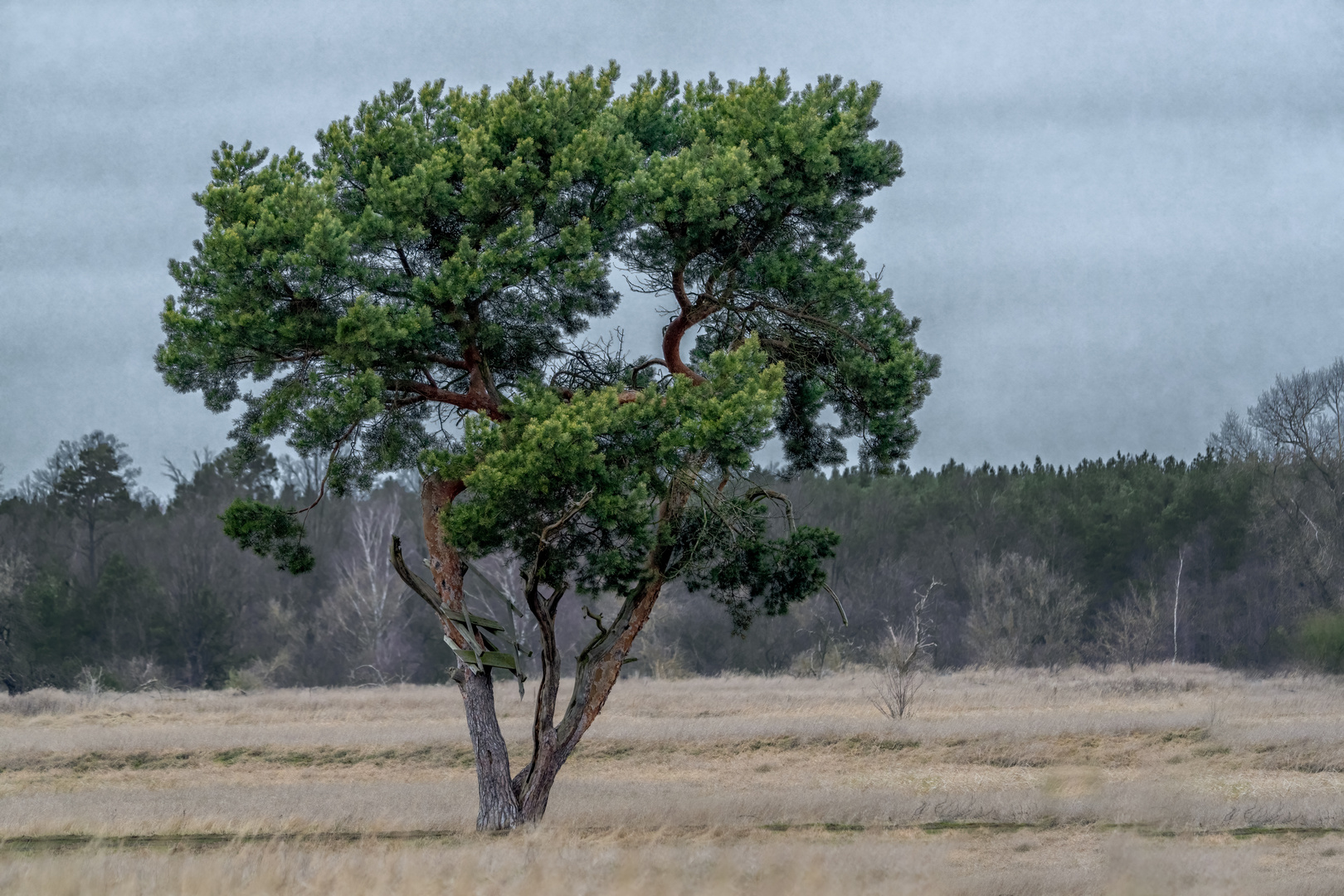 Natur im Januar 2022