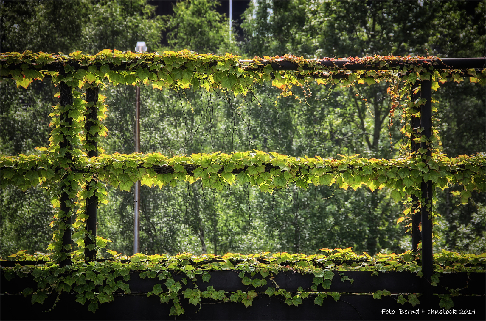 Natur im LaPaDu ... zur Foto TV Challenge 2014