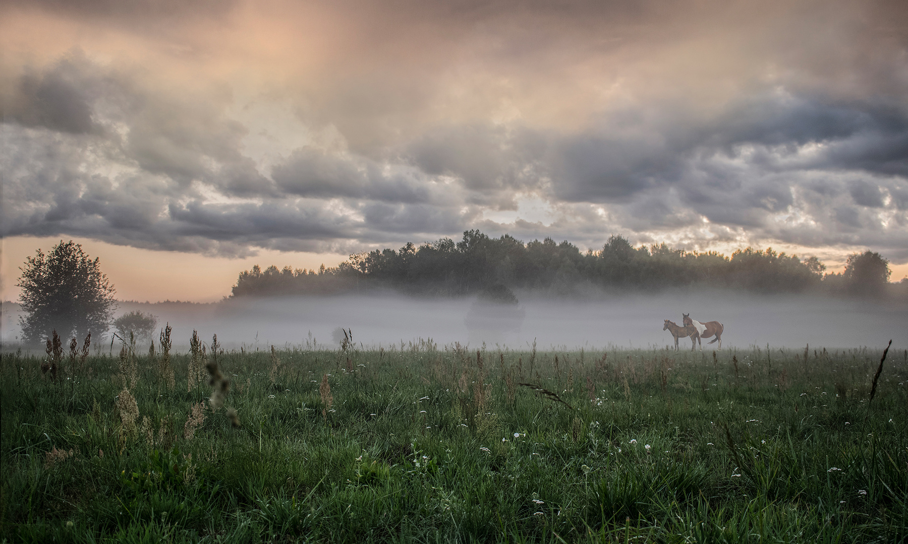 NATUR IM MÜNSTERLAND 