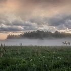 NATUR IM MÜNSTERLAND 