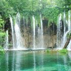 Natur im Nationalpark Kroatiens