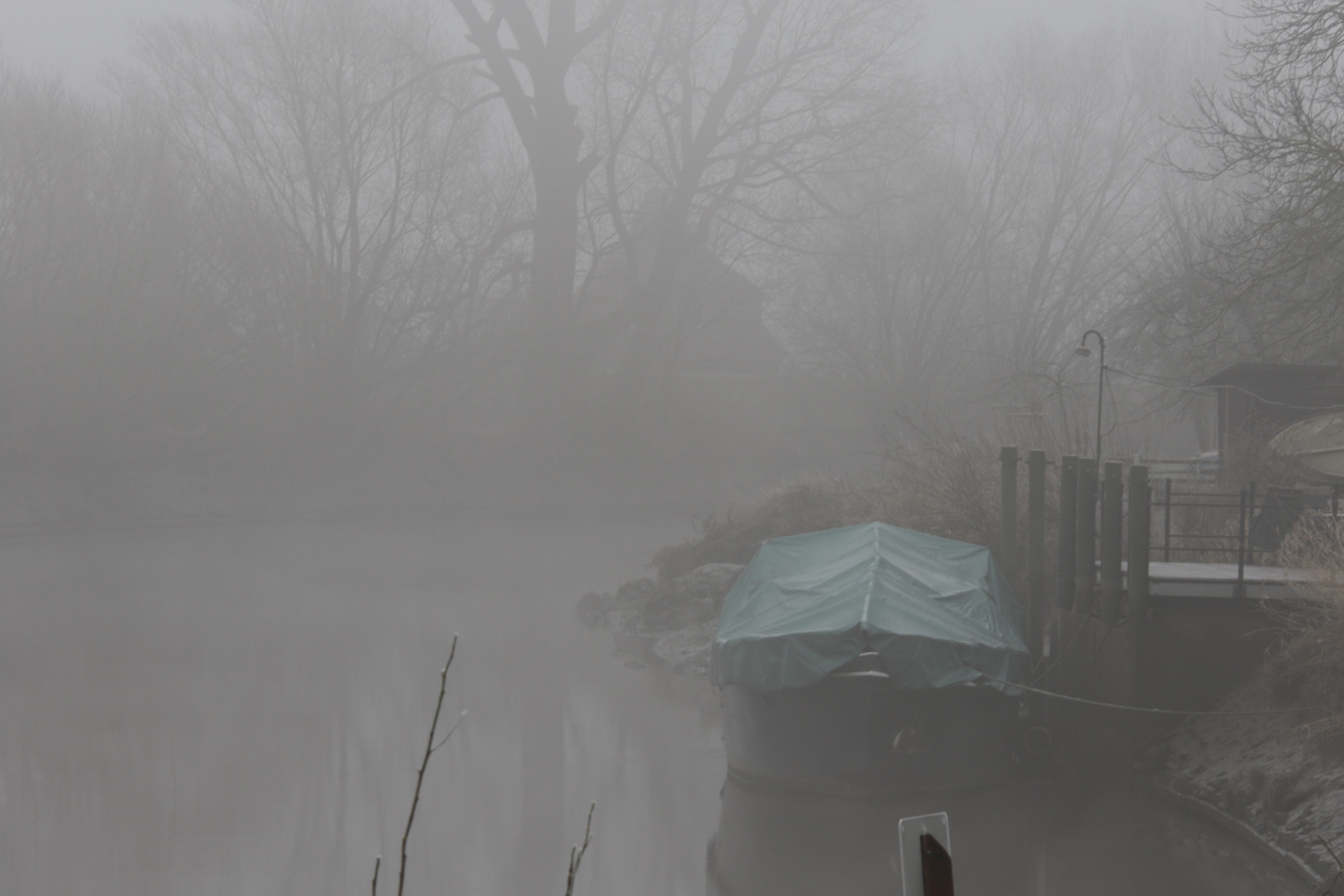 Natur im Nebel