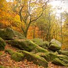 Natur im Odenwald