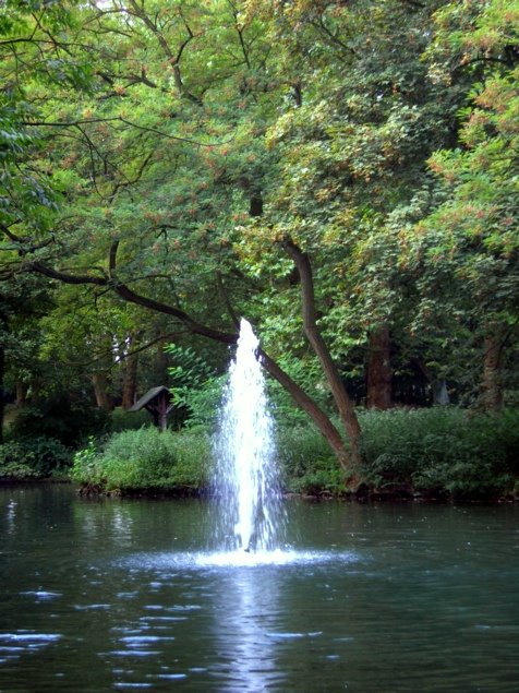 Natur im Park