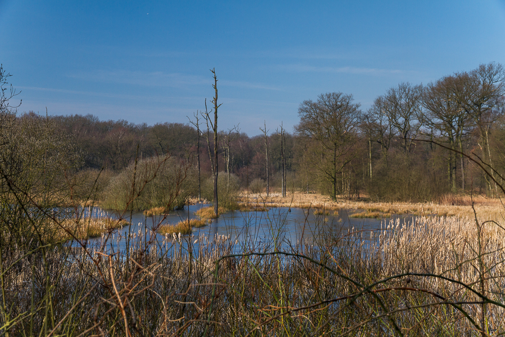 Natur im Ruhrgebiet