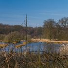 Natur im Ruhrgebiet