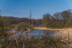 Natur im Ruhrgebiet