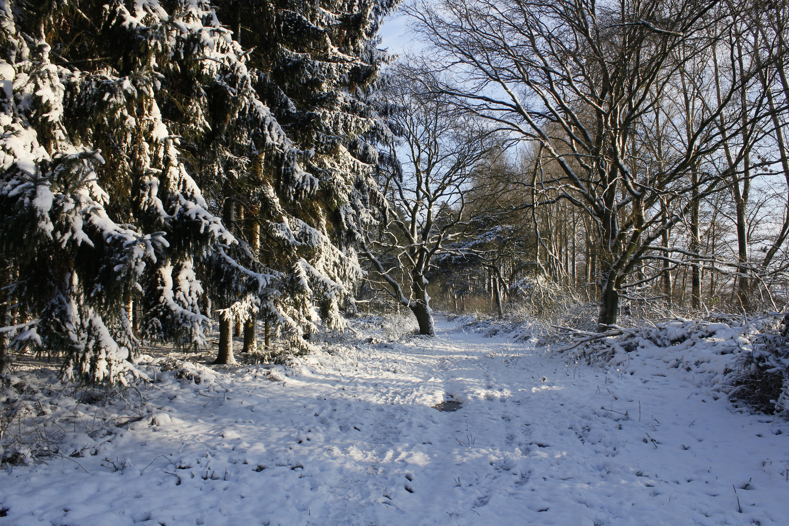 Natur im Schlaf