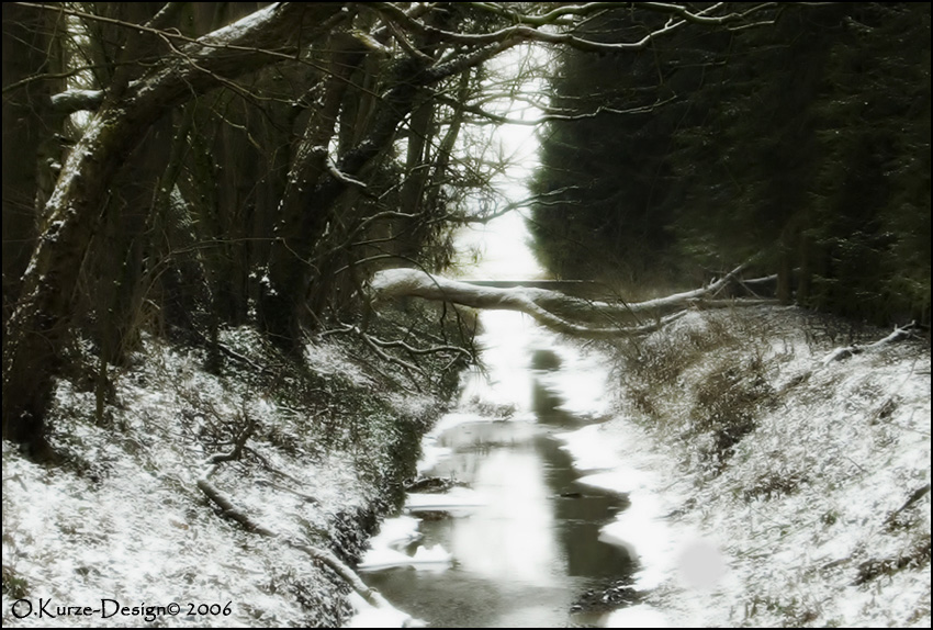 Natur im Schnee