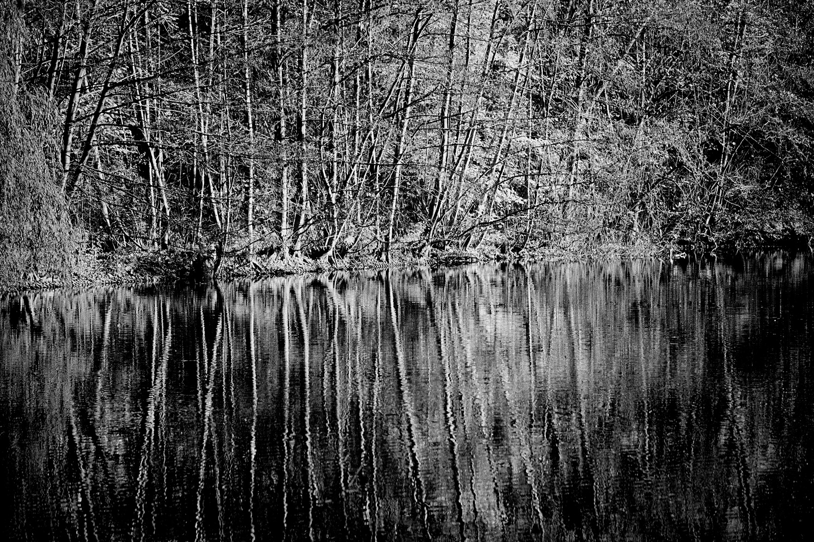 Natur im Spiegel