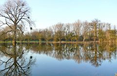 Natur im Spiegel