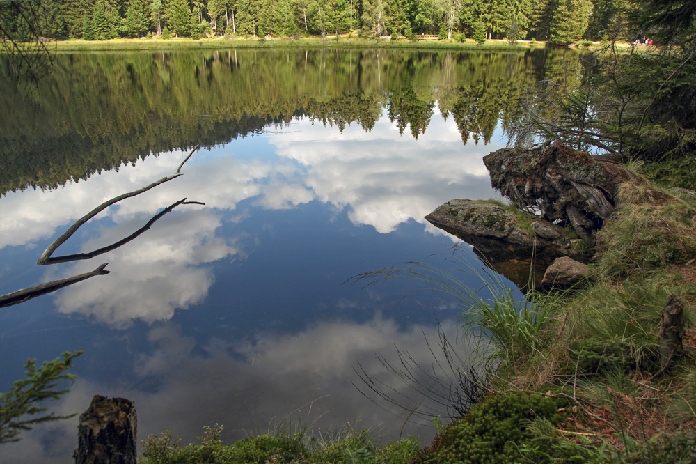 Natur im Spiegel