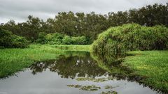 Natur im Spiegel