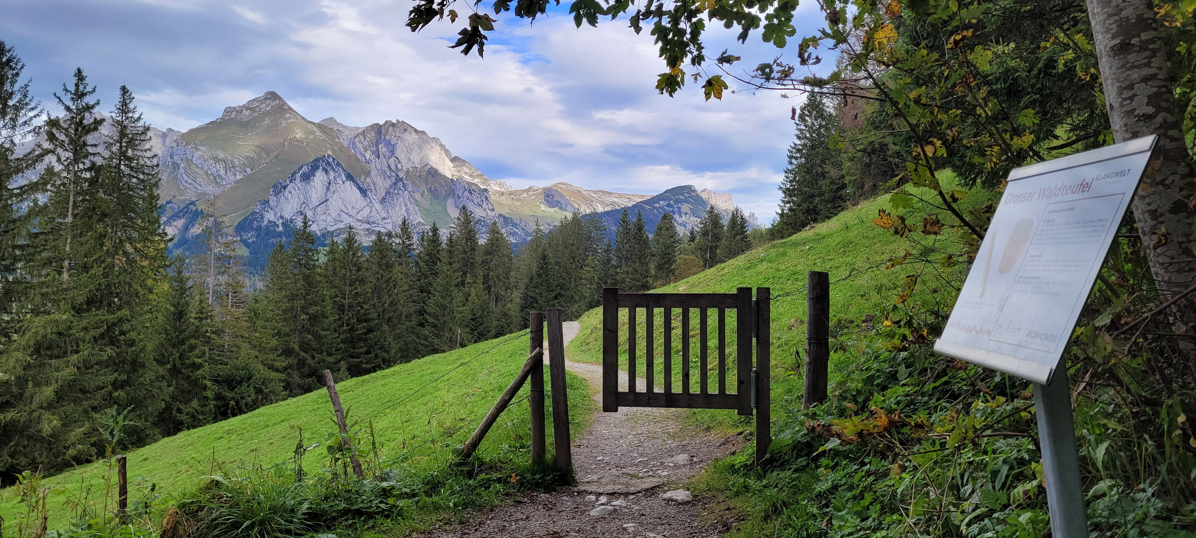 Natur im Toggenburg / Wildhaus (Schweiz)