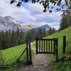 Natur im Toggenburg / Wildhaus (Schweiz)