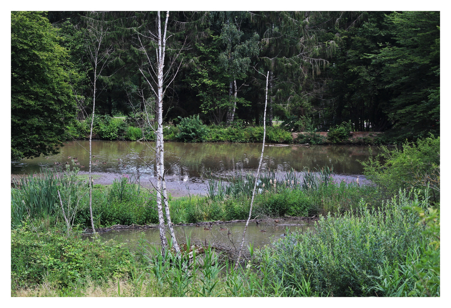 Natur im Wildpark Schmidt