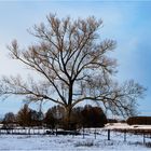 Natur im Winter