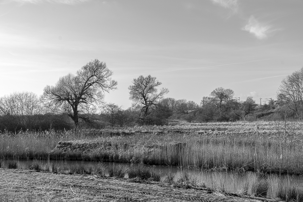 Natur im Winter