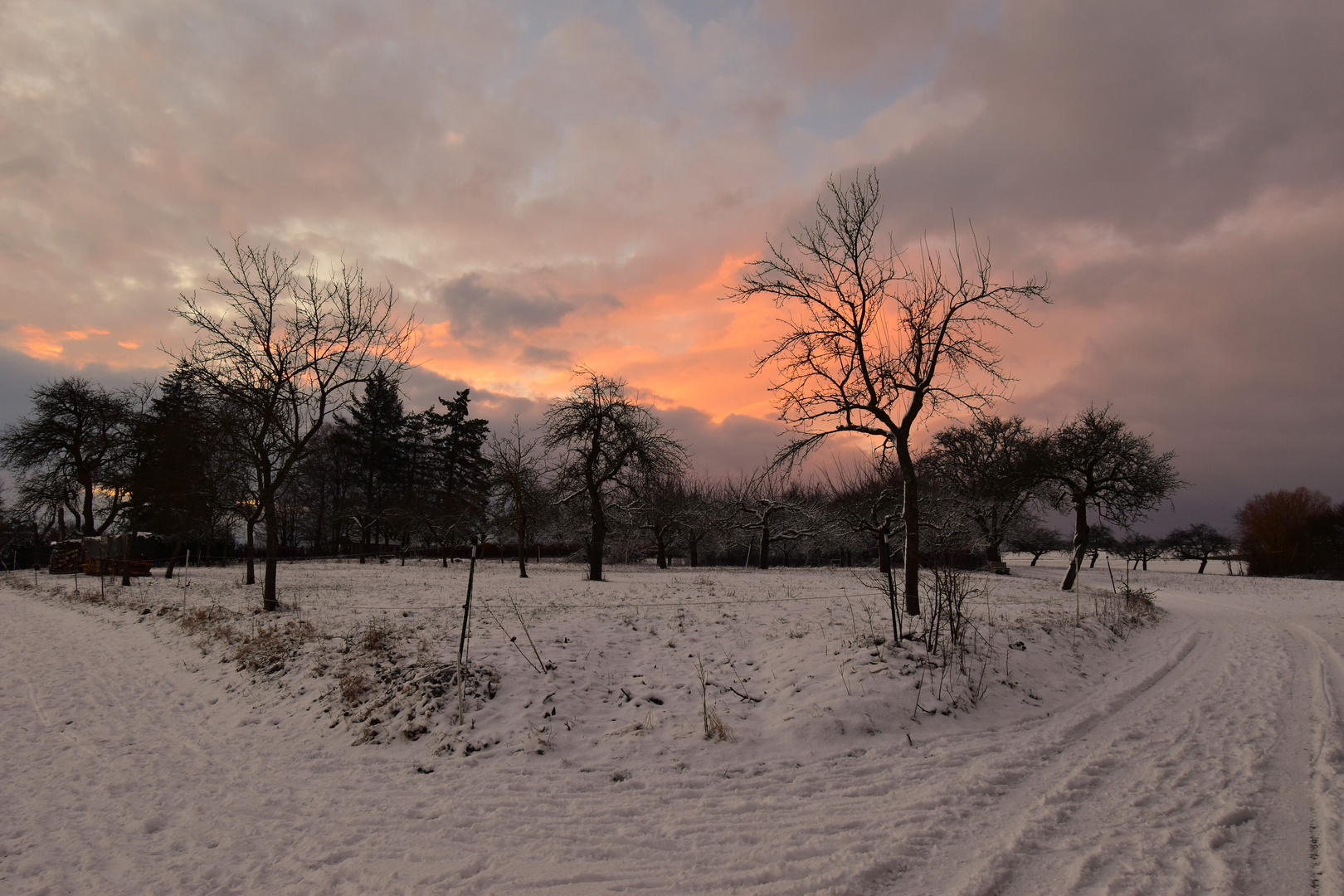 Natur im Winterkleid