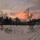 Natur im Winterkleid