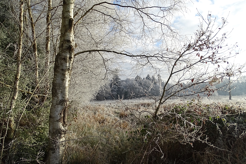 Natur im Winterschlaf