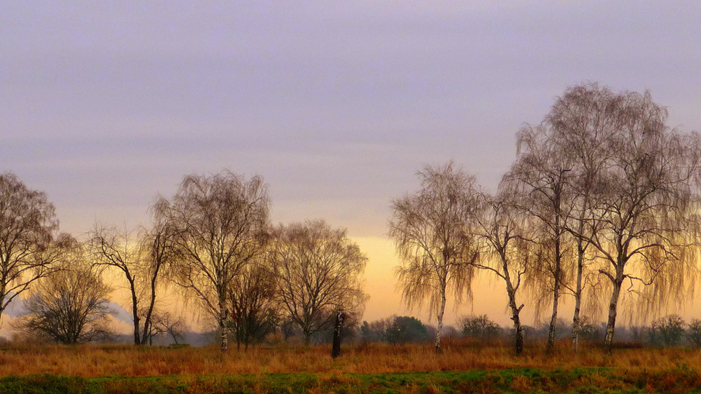 Natur im Winterschlaf