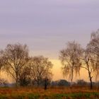 Natur im Winterschlaf