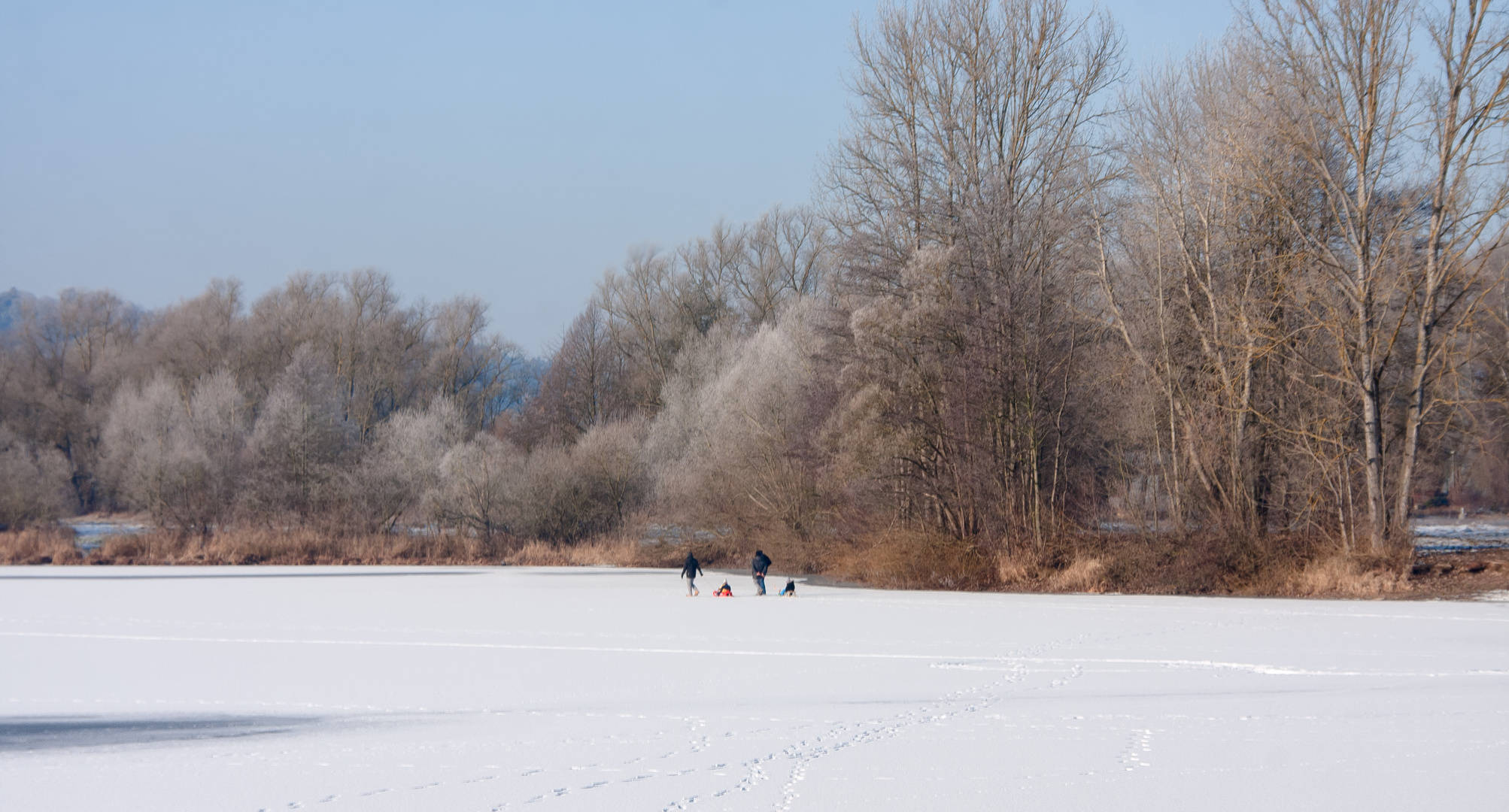 natur im winterschlaf