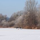 natur im winterschlaf