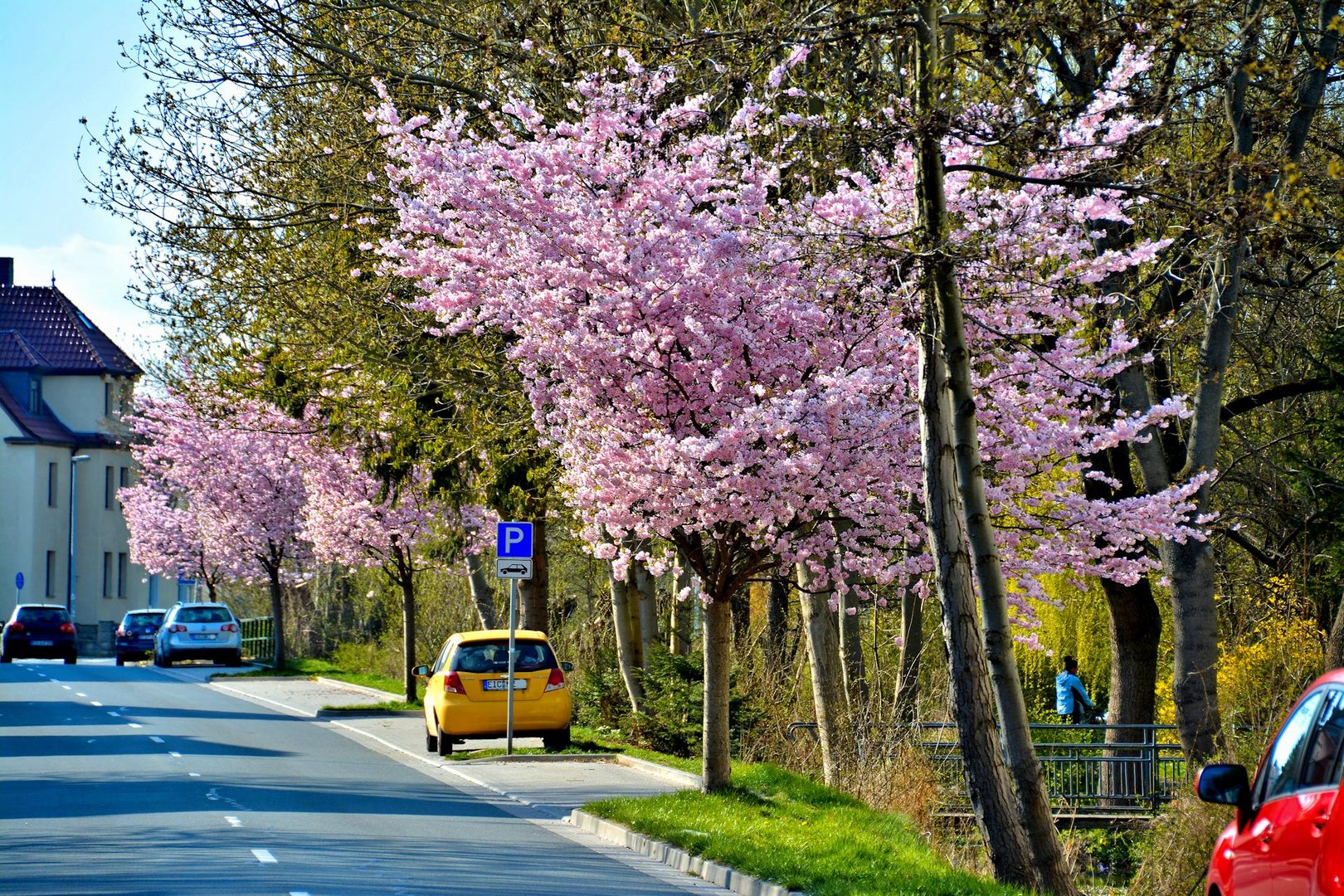 Natur im Wonnemonat - Heiligenstadt schmückt sich