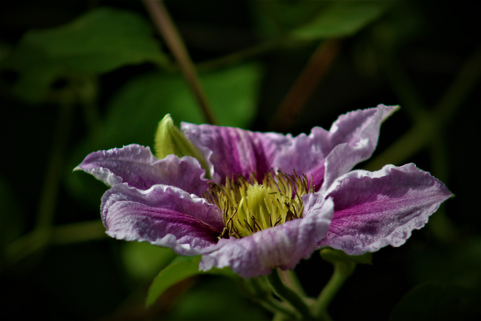 Natur Impressionen