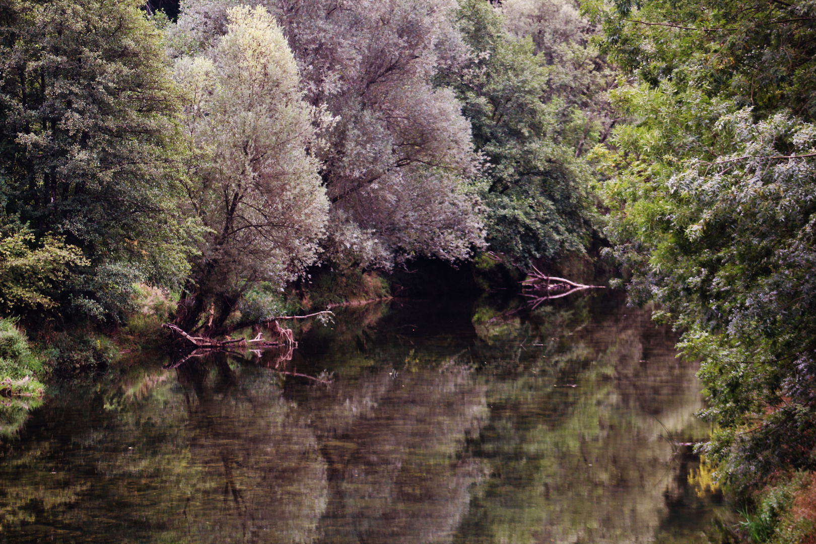 Natur Impressionen