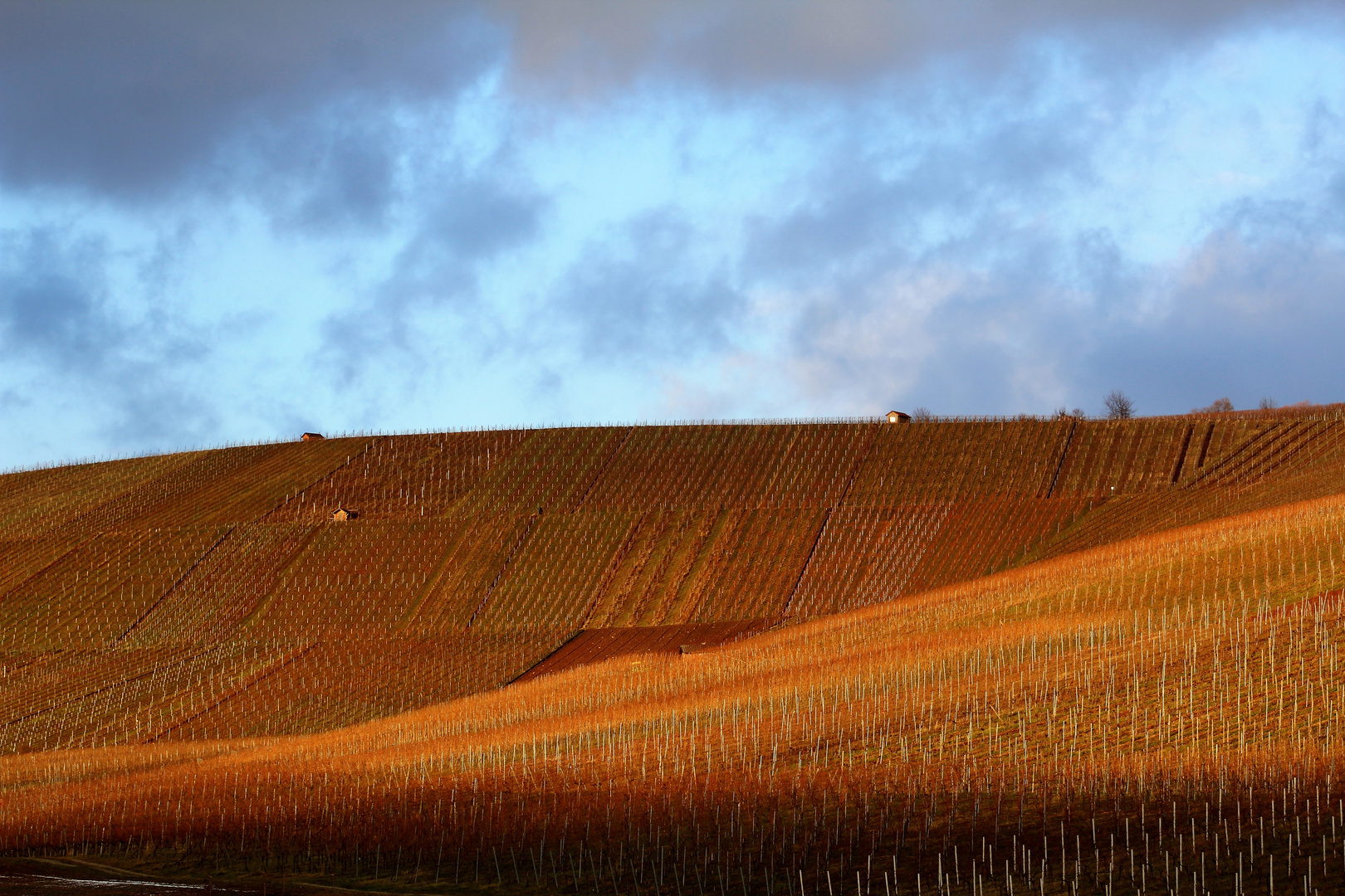 Natur Impressionen