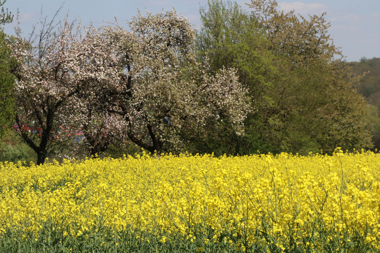 Natur Impressionen 