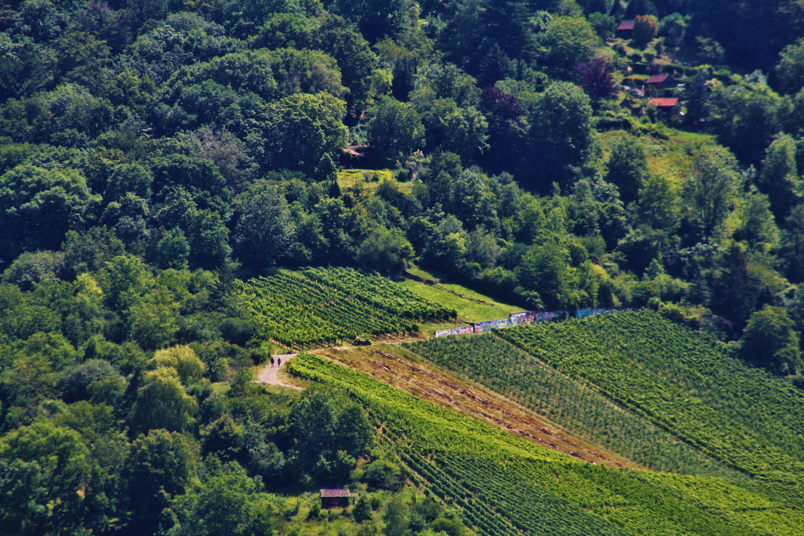 Natur Impressionen am Rotenberg